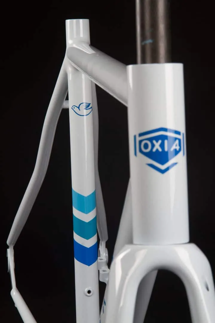 Frame detail of Oxia Sergeant O
