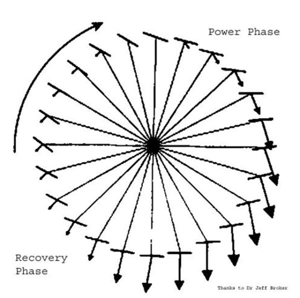 Diagrama de la fuerza aplicada al pedal según el ángulo del ciclo
